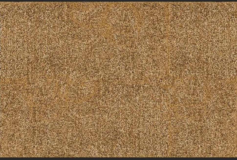 Color Your Life Schoonloop Mat Rhine Beige 900 x 1200 mm