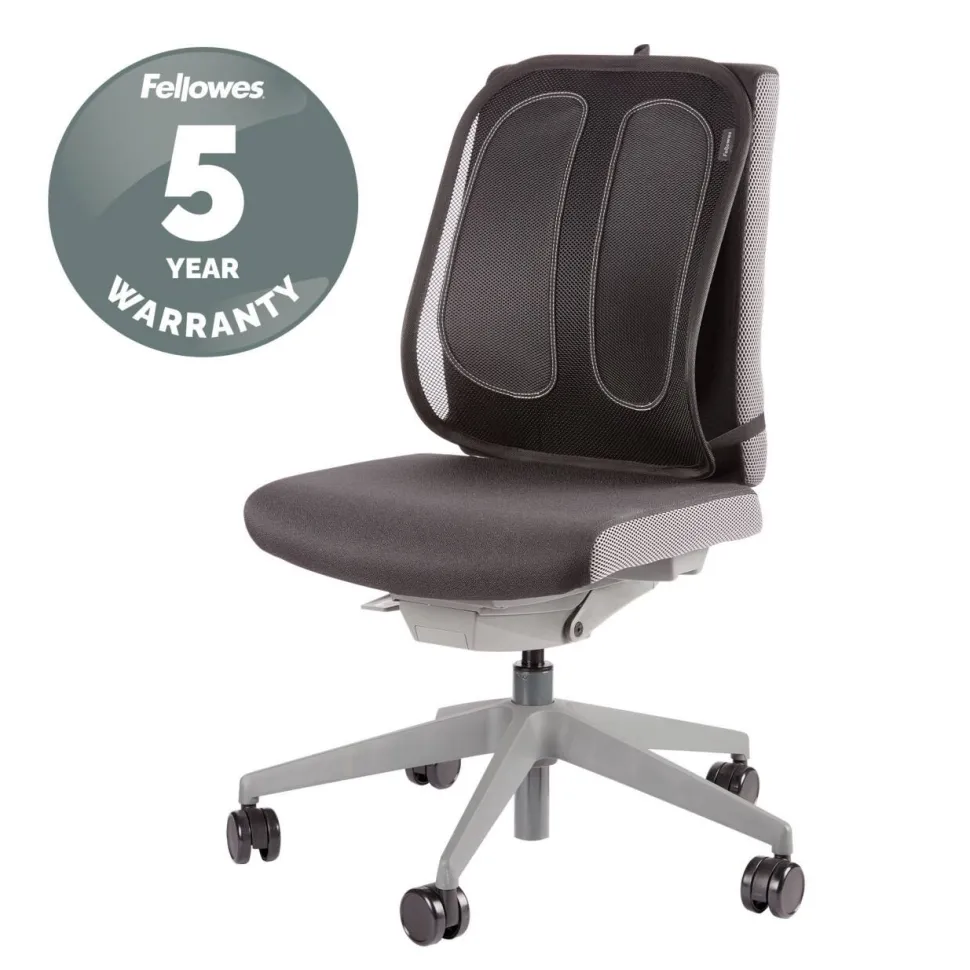 Fellowes Rugsteun Office Suites Netz Zwart