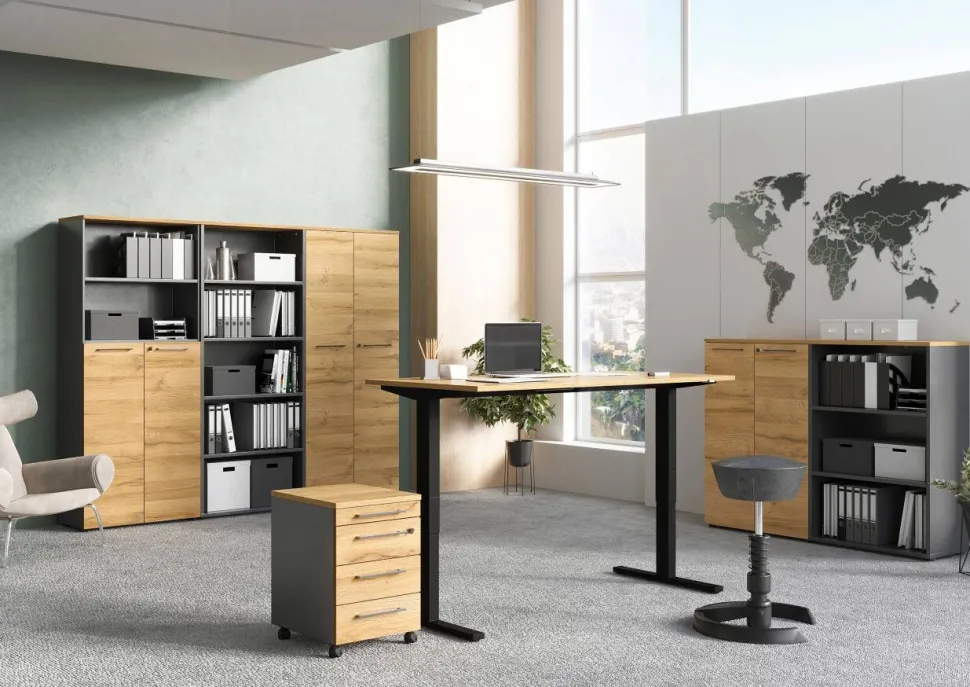 Germania boekenkast 4235-564 bruin, donkergrijs, eiken 800 mm (B) X 400 mm (D) X 1970 mm (H)