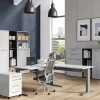 Germania bureau-uitbreiding 4241-583 lichtgrijs, zwart 1130 mm (B) X 600 mm (D) X 870 mm (H)