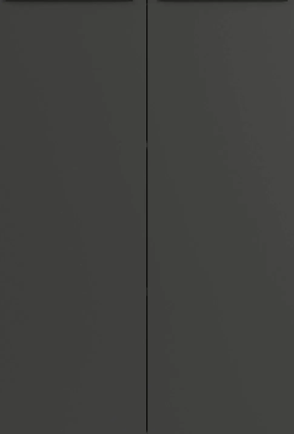 GERMANIA GW-Mailand Archiefkast Spaanplaat 2 Planken 810 x 400 x 1.200 mm Grafiet