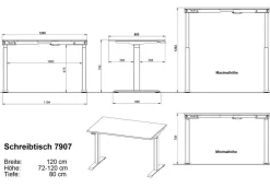 GERMANIA GW-Mailand Hoogteverstelbaar Zit-sta-bureau T-Voet 1,200 (B) x 800 (D) x 1,200 (H) mm Spaanplaat, metaal