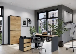 GERMANIA kast met 2 deuren 4266-549 GW-Lissabon 80 x 40 x 197 cm melamine donkergrijs, lichtbruin, Navarra-eiken