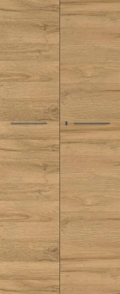 GERMANIA Melamine Draaideurkast Afsluitbaar 800 x 400 x 1.970 mm Bruin, grafiet