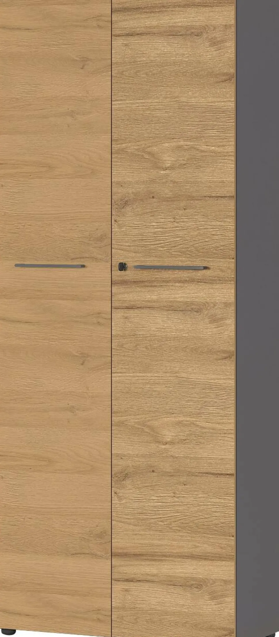 GERMANIA Melamine Draaideurkast Afsluitbaar 800 x 400 x 1.970 mm Bruin, grafiet