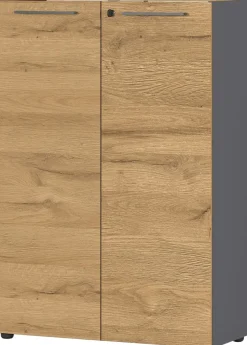 GERMANIA Melamine Draaideurkast Afsluitbaar 800 x 400 x 1.200 mm Bruin, grafiet