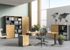 GERMANIA Melamine Draaideurkast Afsluitbaar 800 x 400 x 1.200 mm Bruin, grafiet
