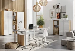 GERMANIA Niet hoogteverstelbaar Archiefkast Eiken 800 (B) x 370 (D) x 1.960 (H) mm Glas, spaanplaat
