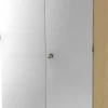 Hammerbacher Kast Gemelamineerde spaanplaat, Hout 4 Planken 8.000 x 420 x 20.004 mm Ahorn Bruin, zilver