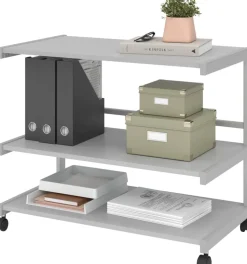 Hammerbacher Trolley Lichtgrijs Gemelamineerde spaanplaat, Staal 18B3/5 805 x 430 x 670 mm