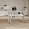 Hammerbacher VXDKB Elektrisch hoogteverstelbaar Zit-sta-bureau Beuken C-Voet 1.200 (B) x 800 (D) x 1.290 (H) mm Spaanplaat, Staal