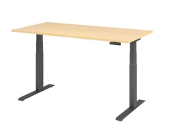 Hammerbacher VXDKB Elektrisch hoogteverstelbaar Zit-sta-bureau Ahorn C-Voet 1.600 (B) x 800 (D) x 1.290 (H) mm Spaanplaat, Staal
