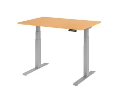 Hammerbacher VXDKB Elektrisch hoogteverstelbaar Zit-sta-bureau Beuken C-Voet 1.200 (B) x 800 (D) x 1.290 (H) mm Spaanplaat, Staal