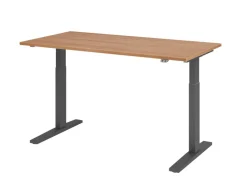 Hammerbacher VXMKA Elektrisch hoogteverstelbaar Zit-sta-bureau Walnoot C-Voet 1,600 (B) x 800 (D) x 1,200 (H) mm Spaanplaat, Staal