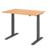 Hammerbacher VXMKA Elektrisch hoogteverstelbaar Zit-sta-bureau Beuken C-Voet 1,200 (B) x 800 (D) x 1,200 (H) mm Spaanplaat, Staal
