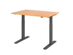 Hammerbacher VXMKA Elektrisch hoogteverstelbaar Zit-sta-bureau Beuken C-Voet 1,200 (B) x 800 (D) x 1,200 (H) mm Spaanplaat, Staal