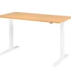 Hammerbacher VXMKA Elektrisch hoogteverstelbaar Zit-sta-bureau Beuken C-Voet 1,600 (B) x 800 (D) x 1,200 (H) mm Spaanplaat, Staal