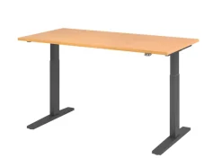 Hammerbacher VXMKA Elektrisch hoogteverstelbaar Zit-sta-bureau Beuken C-Voet 1,600 (B) x 800 (D) x 1,200 (H) mm Spaanplaat, Staal