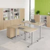 Hammerbacher XDSM VXDSM Elektrisch hoogteverstelbaar Zit-sta-bureau Rechthoekig Eiken T-Voet 1,200 (B) x 800 (D) x 1,270 (H) mm Spaanplaat, Staal