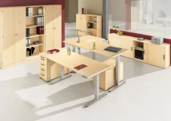 Hammerbacher Zit-sta bureau XDSM12/3/S Esdoorn 1.200 x 800 x 635 mm