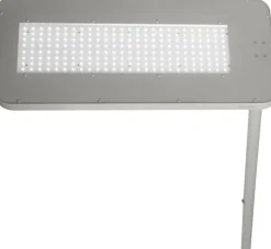 Hansa Capella Vloerlamp LED Zilver AC 2,020 mm