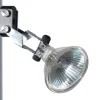 Kerkmann LED-verlichting voor vitrines Expoline 3760/3761/3762 5 Stuks
