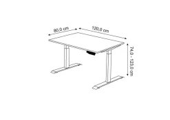 Kerkmann Move 1 Zit-sta-bureau Rechthoekig Antraciet T-Voet 1.200 (B) x 800 (D) x 1.230 (H) mm Melamine, staal