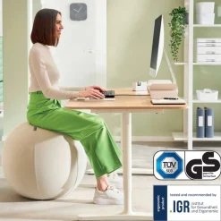 Leitz Ergo Actieve Zitbal 6542 Anti-rol design Handvat Wasbare hoes 65 cm tot 150 kg Lichtgrijs