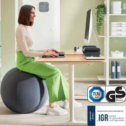 Leitz Ergo Ergonomische zitbal Donkergrijs 150 kg 65420089 650 x 650 x 650 mm