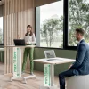 Leitz Ergo In hoogte verstelbaar compact zit-sta-bureau 6536 met 4 wielen hout, aluminium 80 x 75-114 x 60 cm