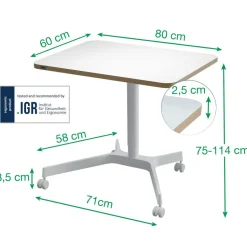 Leitz Ergo In hoogte verstelbaar compact zit-sta-bureau 6536 met 4 wielen hout, aluminium 80 x 75-114 x 60 cm