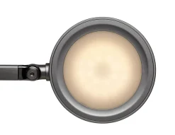 Maul MAULgrace Vrijstaand Bureaulamp LED (dimbaar) Zilver Netstroom 205 x 545 x 466 mm