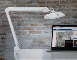 Maul MAULintro Bureaulamp Led (verwijderbaar) Wit Netstroom 335 x 615 x 515 mm