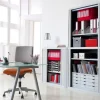 Paperflow Easy Office Roldeurkast PS (Polystyreen), Staal 2 Planken Afsluitbaar 1.100 x 415 x 1.040 mm Grijs