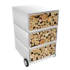 Paperflow Easybox Mobiel ladeblok met 4 lades 642x390x436 mm Logs Design
