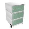 Paperflow Easybox Mobiel ladeblok met 4 lades 642x390x436 mm Snake design