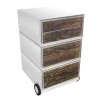 Paperflow Easybox Mobiel ladeblok met 4 lades 642x390x436 mm Wood Design