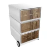 Paperflow Easybox Mobiel ladeblok met 4 lades 642x390x436 mm Tree Trunk Design