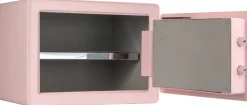 Phoenix Kluis DREAM1P Pastelroze 350 (B) x 250 (D) x 250 (H) mm