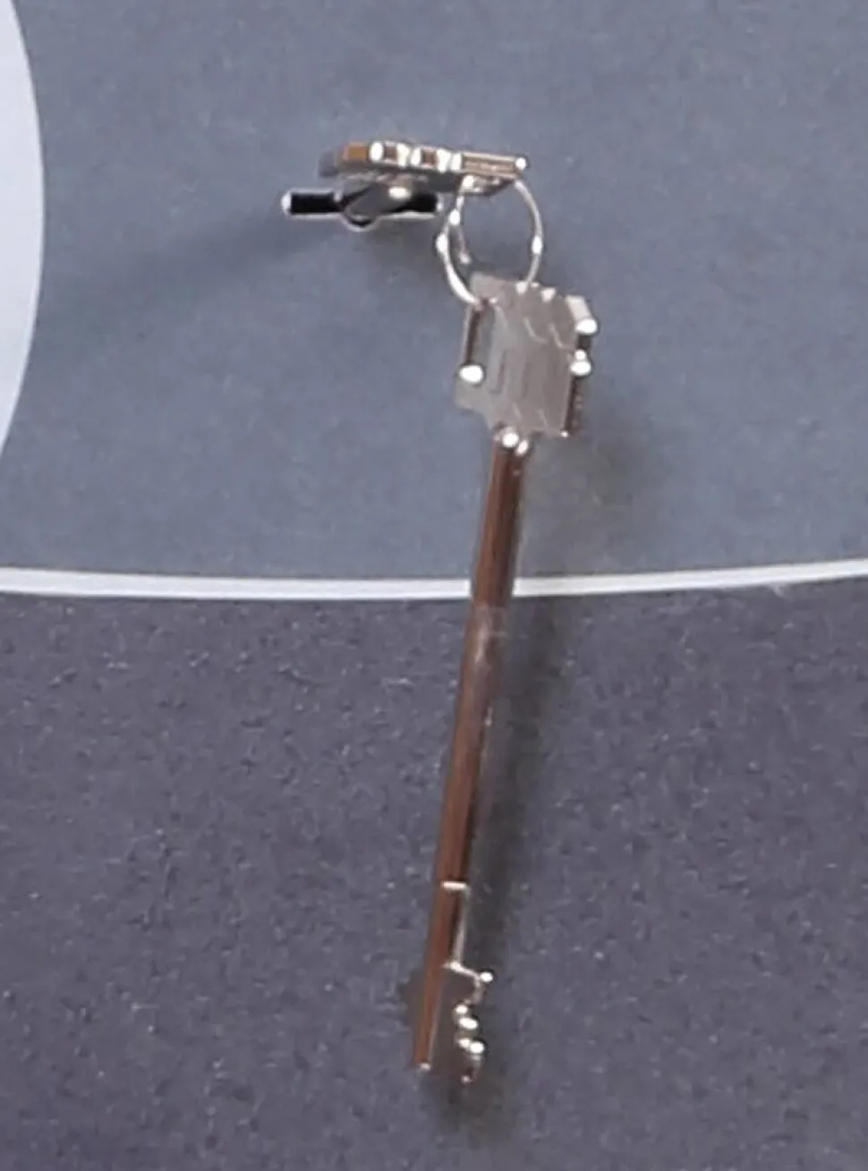 Phoenix Neptune Inbraakwerende kluis Sleutel 24 L HS1051K Grijs