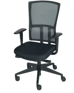 Schaffenburg Ergonomische stoel Synchroonmechanisme Mesh, stof In hoogte verstelbare armleuning In hoogte verstelbare zitting Zwart 120 kg 300 NEN