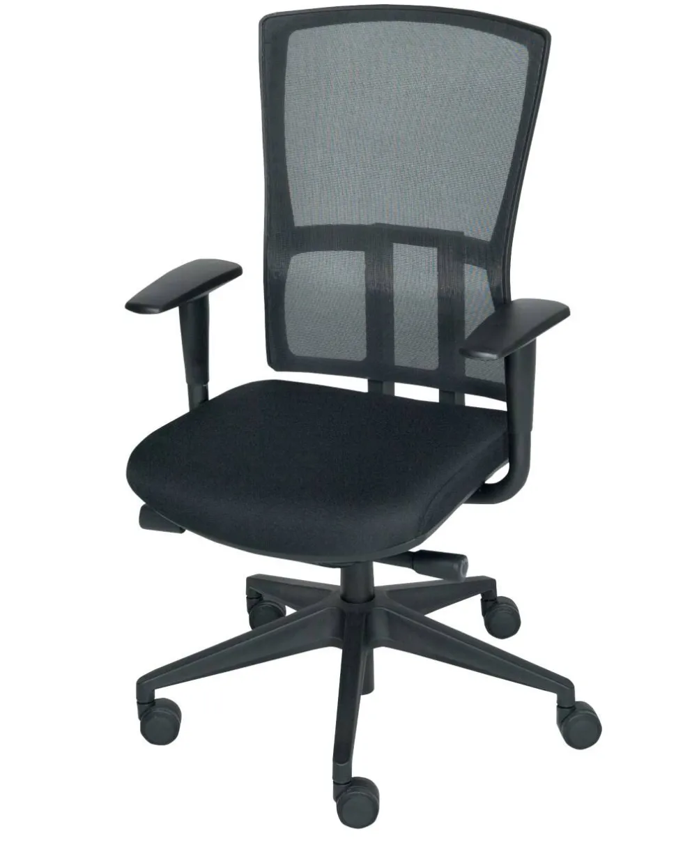 Schaffenburg Ergonomische stoel Synchroonmechanisme Mesh, stof In hoogte verstelbare armleuning In hoogte verstelbare zitting Zwart 120 kg 300 NEN