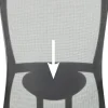 Schaffenburg Lumbar Support for Desk Chair 300-Nen