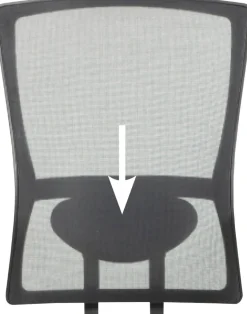 Schaffenburg Lumbar Support for Desk Chair 300-Nen