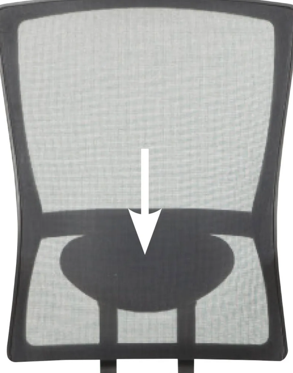 Schaffenburg Lumbar Support for Desk Chair 300-Nen