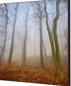 SHOWDOWN Autumn Mist Textielen Wanddecoratie Multikleur Aluminium