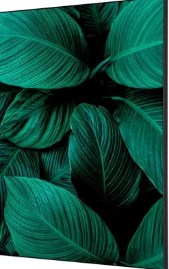 SHOWDOWN Botanical Leaves Textielen Wanddecoratie Multikleur Aluminium