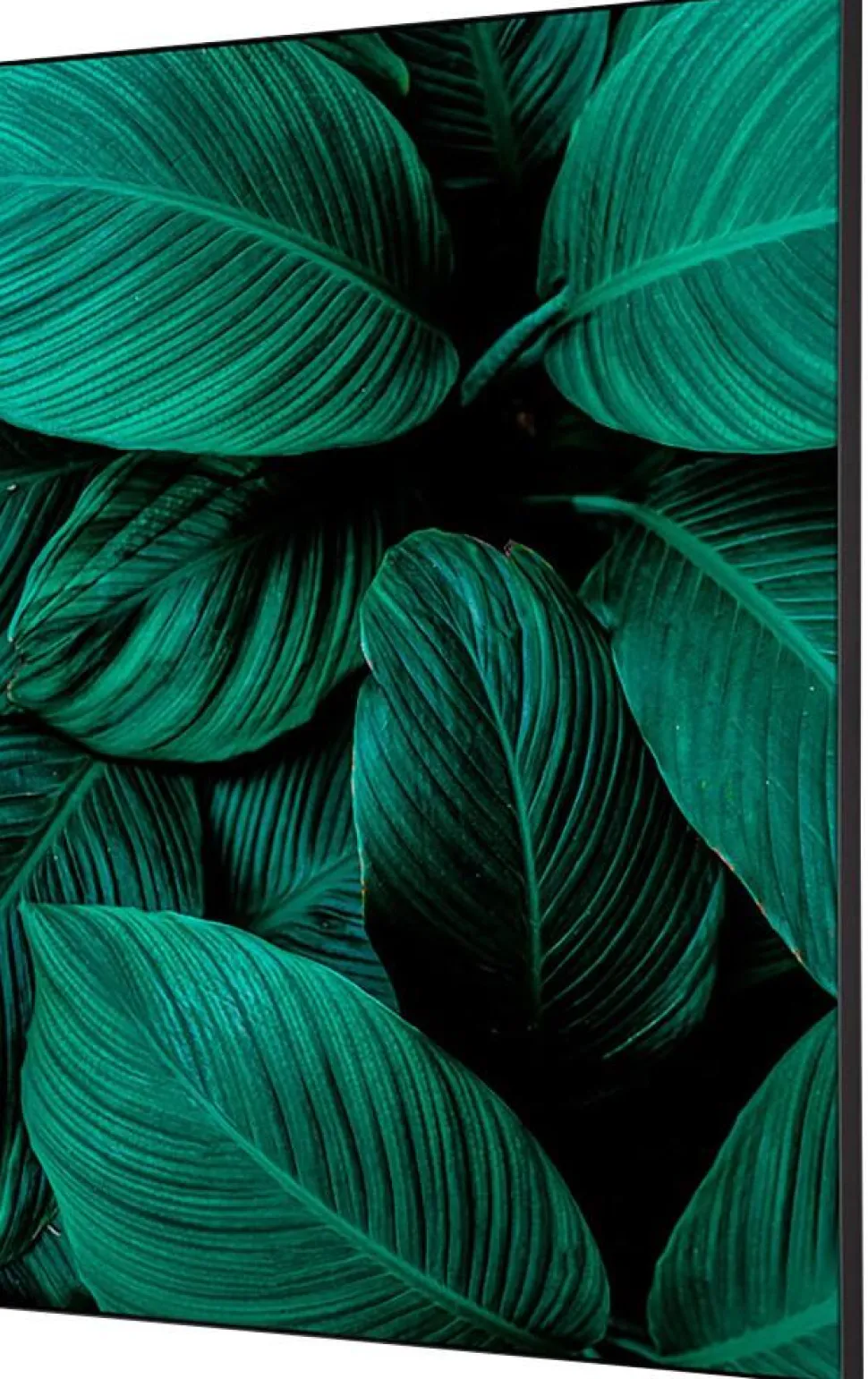 SHOWDOWN Botanical Leaves Textielen Wanddecoratie Multikleur Aluminium