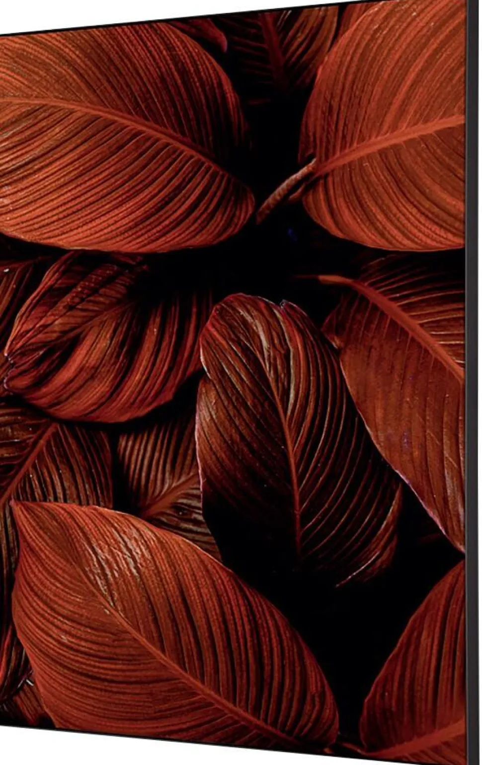 SHOWDOWN Botanical Leaves Textielen Wanddecoratie Multikleur Aluminium