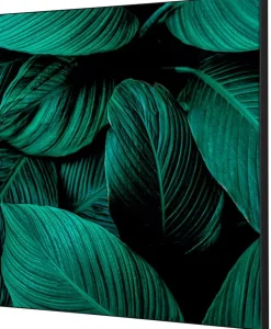 SHOWDOWN Botanical Leaves Textielen Wanddecoratie Multikleur Aluminium